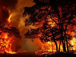 Αποκαλυπτική έρευνα: 9 στις 10 πυρκαγιές ξεκινούν από ανθρώπους